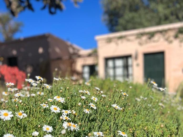 Los Arcabuceros Casa Hotel Boutique ティルカラ エクステリア 写真