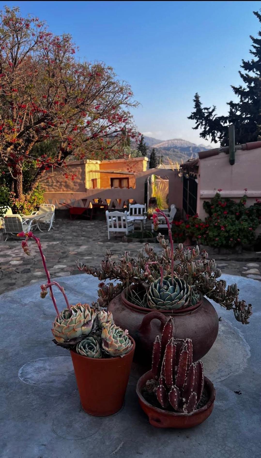 Los Arcabuceros Casa Hotel Boutique ティルカラ エクステリア 写真