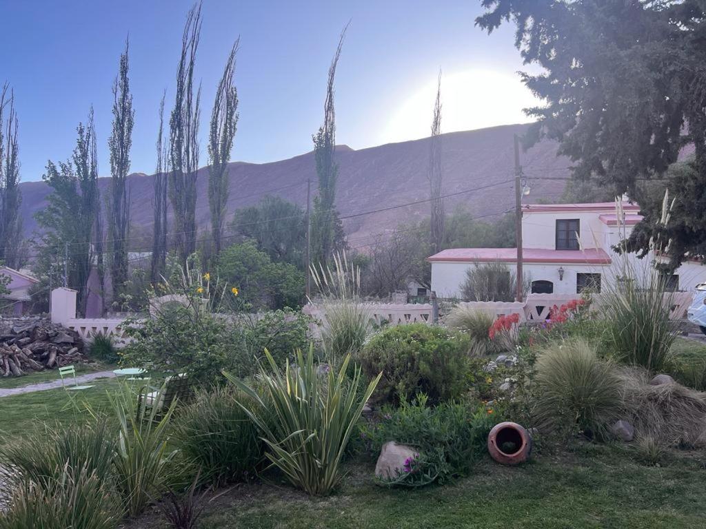 Los Arcabuceros Casa Hotel Boutique ティルカラ エクステリア 写真